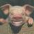 Pixelated static icon of a pig's face with pink skin, large ears, and visible snout against dark background.