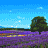 Animated sequence of six nature scenes: lavender field with single tree, misty landscape, coastal view, waterfall, flower garden, and ocean horizon.