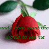 A 4-frame animated contact sheet showing a red rose with green leaves and text overlays, each frame displaying different transparency levels of the rose against a light background.