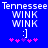Blue background displays 'Tennessee' text above two identical pixel art icons with 'WINK' repeated twice, a smiley face ':]', and pink star-like shapes.