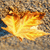 A pixelated static image shows a bright yellow-orange flame-like shape against a brownish-gray textured background with scattered dark blue and black pixels.