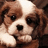 Pixelated close-up of a dog's face with brown and white fur, black eyes, and a dark nose against a blurred background.