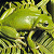 A 50x50 pixel animated buddy icon featuring a yellow crocodile skull on the left and green text "Original Icons .com" on the right against a dark background.