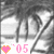 Black-and-white palm trees with a bright background, pink heart symbol, and '05' text at bottom left.