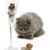 A pixelated static image shows a gray cat with dark eyes and nose, positioned next to a tall white object with a brown top and a small brown object below.
