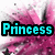 A pixelated image of a pink flower with the word 'Princess' in cyan text on the left, purple text on the top right, and pink text on the bottom left.