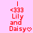 Red text on pink background shows "<333 Lily and Daisy" with heart symbol, arranged in a of repeated identical units with one gray square in bottom-right corner