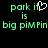 Green pixelated text on black background with a white heart symbol replacing the 'i' in 'park it', repeated twice side-by-side.