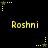 Yellow pixelated text 'Roshni' appears in two with yellow star-shaped icons and dotted lines on a black background