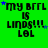 Green background with repeated text 'my bfrl is linds!!! lol' in black pixelated font, scattered blue and light blue stars.