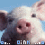 A close-up of a pig's face with pink nose and ears against blue sky, showing pixelated animation changes in eye color and mouth position.