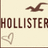 Pixelated icon with brown text 'HOLLISTER' on beige background, featuring a stylized bird above and a heart below.