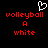 Pixelated red text 'volleyball', 'A', and 'white' on black background with white heart outline above.