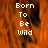 Pixelated orange background with white text 'Born To Be Wild' displayed in three vertical sections, one section partially obscured by a gray rectangle.