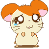 Pixelated hamster character with orange hair, pink ears, and blue tear on left cheek; two poses show different hand positions.