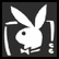 Two side-by-side pixelated bunny head icons with distinct color schemes and background styles.