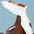 Holiday icons for AIM, MSN, MySpace and Yahoo