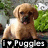 Pixelated image of a light brown dog with darker ears and muzzle sitting on grass, tongue out, next to green foliage.