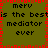 A static pixel art image with a green background, red border, and repeated text reading "merv is the best mediator ever" in black pixelated font.