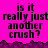 A bright pink background with dark purple jagged border features repeated black text reading "is it really just another crush?" in pixelated font.