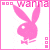 A 2x2 contact sheet of four animated frames featuring a pink Playboy bunny logo with
