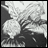 Black-and-white pixelated image split into two sections: left shows abstract shapes resembling birds, right displays 'AnimeIM' and 'COM' text.