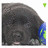A dark, pixelated figure with a rounded head and pink mouth area appears in two side-by-side frames; the right frame shows a blue-green icon above it.