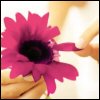 A close-up of a pink flower with dark center held by a hand, against a light background.