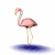 Animated contact sheet of a pink flamingo in various walking poses with blue water reflections on white background.