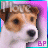 iconhell_bapity88_jackrussell