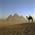 Pixelated desert landscape with sand dunes under a gradient sky, featuring a dark silhouette of a camel and rider on the right.