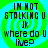 Four identical pixelated display text over a green and blue spiral background with no visible animation changes