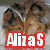 Four dog images arranged in a with overlaid text: 'AlizaS' in red, 'Loves' in pink, 'Collies' in teal, and a fourth dog image with no text