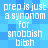 Blue pixelated background with repeated white text reading "prep is just a synonym for snobbish bitch" in four identical sections.