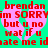 Green background with pink heart shapes containing red pixelated text reading 'brendan im SORRY but u no wat if u date me idate me idate me' across two identical frames.