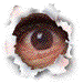 A torn paper hole reveals a brown eye with a dark pupil and white reflection, then closes to a solid brown circle, then reopens to the same eye.
