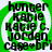 Green spiral background with black text reading 'hunter Katie Katie C. Jordan case*br', four identical copies arranged in a