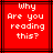 Red background with black lines and white pixelated text reading 'why Are you reading this?' in a