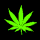 Green cannabis leaf and spiral patterns displayed in a on black background with one gray square corner