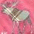 Pixelated static image with pink background and abstract light-colored shapes resembling a stylized figure or object.