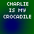 Green and blue gradient background with white pixelated text reading "CHARLIE IS MY CROCADILE" in four identical