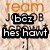 Animated buddy icon with 'team' text above a name, showing two states: one with 'bez hes hawt' in black boxes and another without.