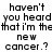 Static image of repeated text 'haven't you heard that i'm the new cancer.?' in pixelated font with gray background on right side.