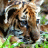 A pixelated static image shows a tiger-like animal with brown and black fur, green foliage in the background, and dark patches on its face.