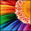 A static pixelated image shows a colorful abstract composition with radiating rainbow stripes and a textured orange-yellow shape on the right.