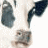 A 4x3 contact sheet of a cow's face with pixelated text overlays cycling through phrases like "Save a cow" and "eat a vegetarian," displayed on a gray transparency background.