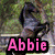 Four- with pink text labels over distinct images: a dog, rearing horse, green background, and whale tail