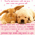 Pixelated image of two light brown dogs lying side-by-side on a pink patterned background with scattered pink squares.