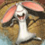 A pixelated static image shows a white rabbit-like figure with large pink ears against a brown and blue background.