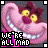 Pixelated image of a pink flamingo with large yellow eyes and purple accents, overlaid by bold text reading "WE'RE ALL MAD" in blocky white letters on black background.